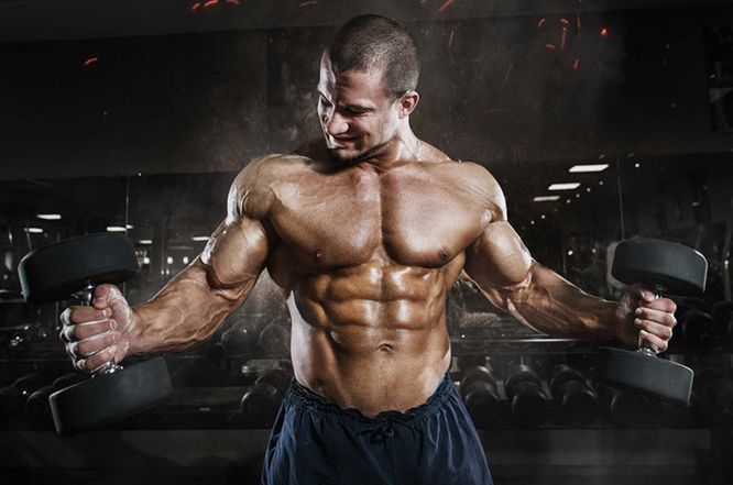 Exploring the Top Online Steroid Retailers in the UK: A Comprehensive Comparison